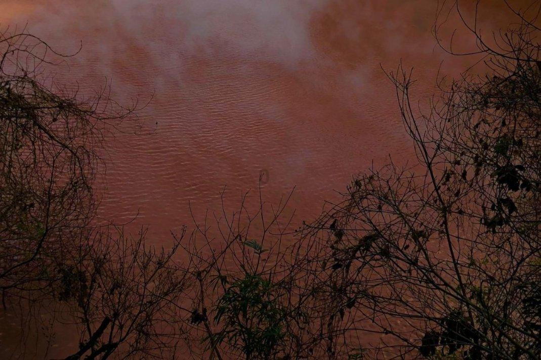 创作猫